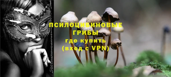 крисы Майский