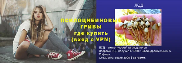 сатива Медногорск