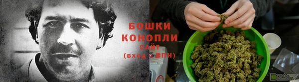 крисы Майский