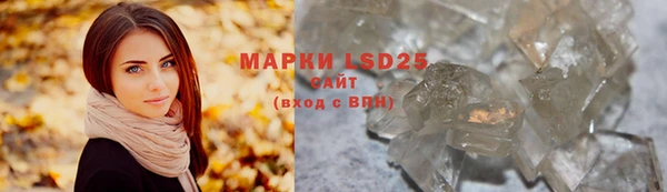 apvp Магас