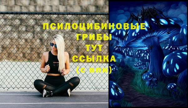 apvp Магас