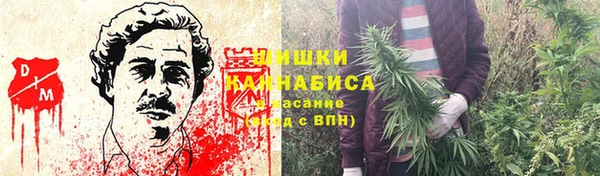 крисы Майский