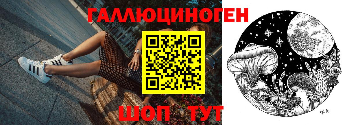 Псилоцибиновые грибы ЛСД  даркнет сайт  Псилоцибиновые грибы Psilocybine cubensis  Астрахань 