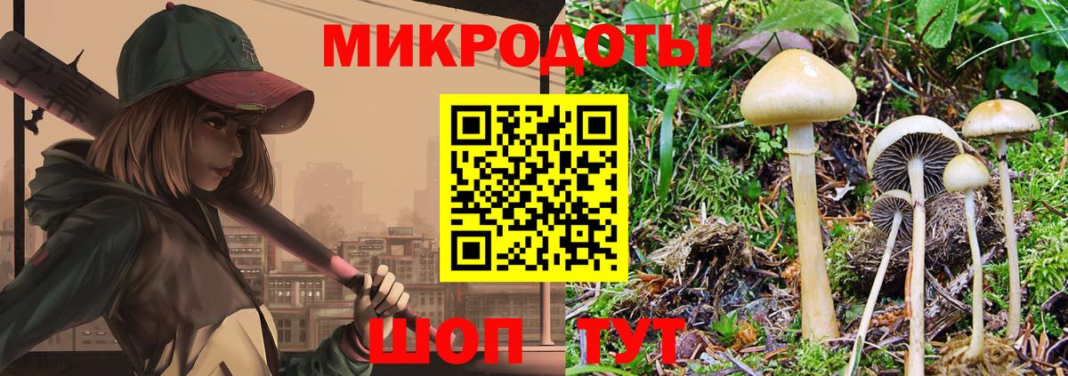 Галлюциногенные грибы ЛСД Астрахань
