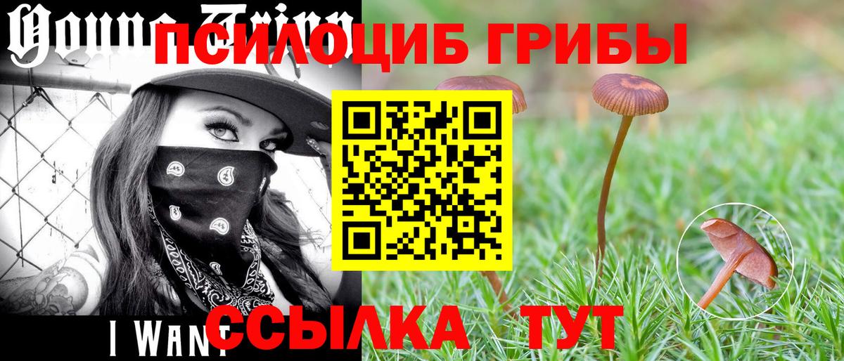 A-PVP Астрахань