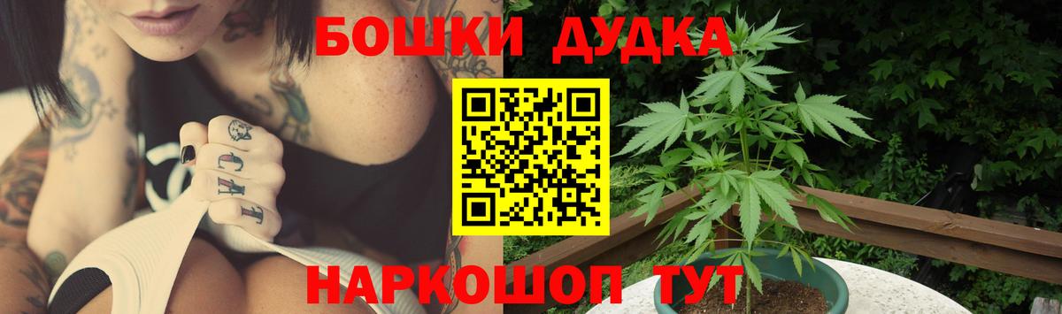 Бошки марихуана сатива  МАРИХУАНА планчик  Вход с VPN  МАРИХУАНА план  Астрахань 
